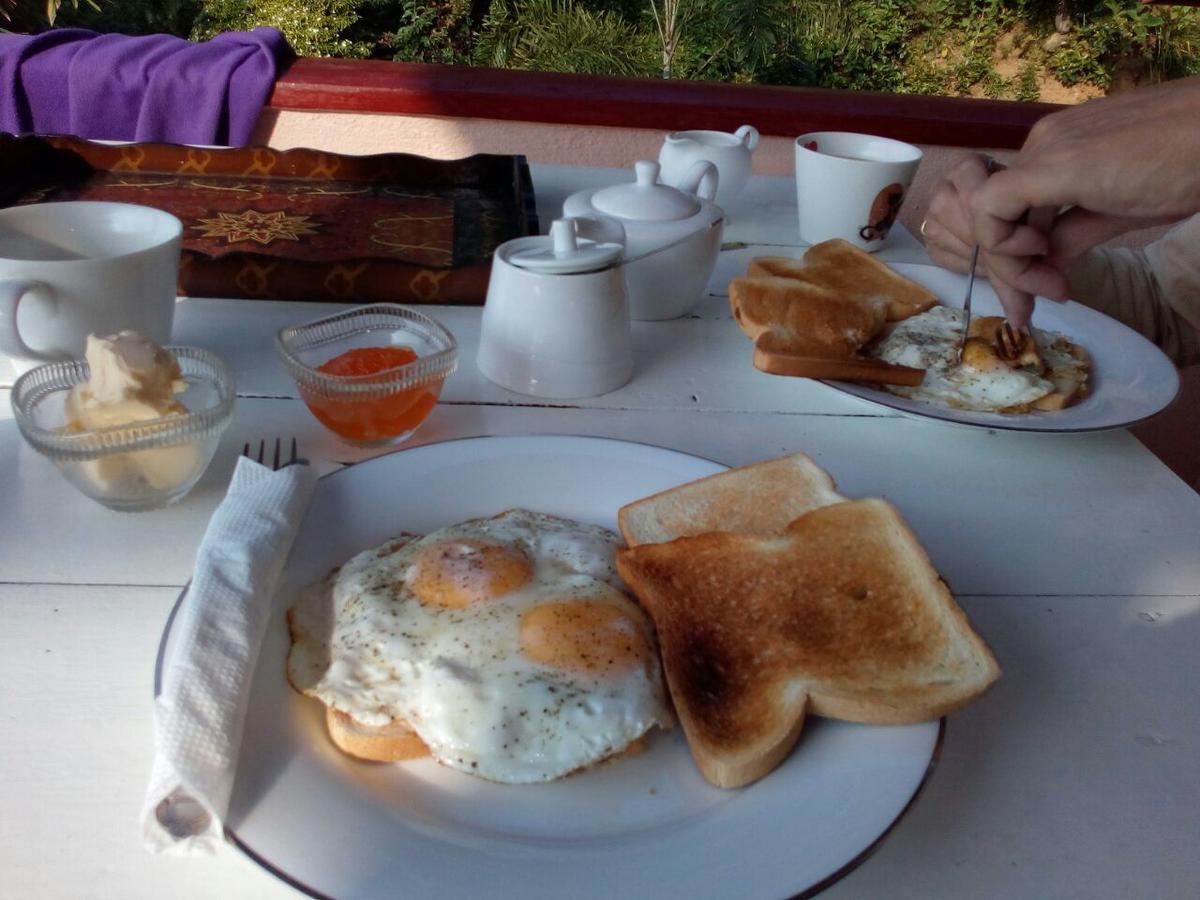 Yoho Mango House Otel Negombo Dış mekan fotoğraf